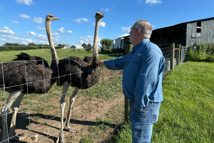 A Kentucky man with a meat allergy was craving  a burger. So he got into ostrich farming
